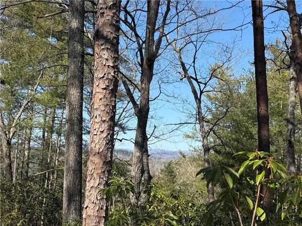 $85,000 | 318 Ginseng Drive, Sunset, SC 29685
