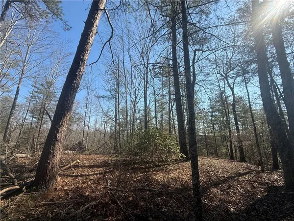 $85,000 | 318 Ginseng Drive, Sunset, SC 29685