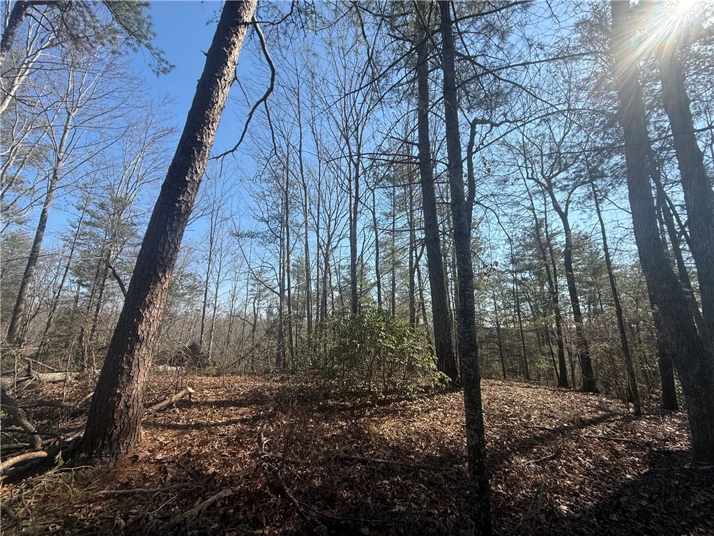 318 Ginseng Drive Sunset, SC 29685 - Photo 13 of 23 Explore this expansive lot offering wooded serenity, perfect for creating a private retreat.