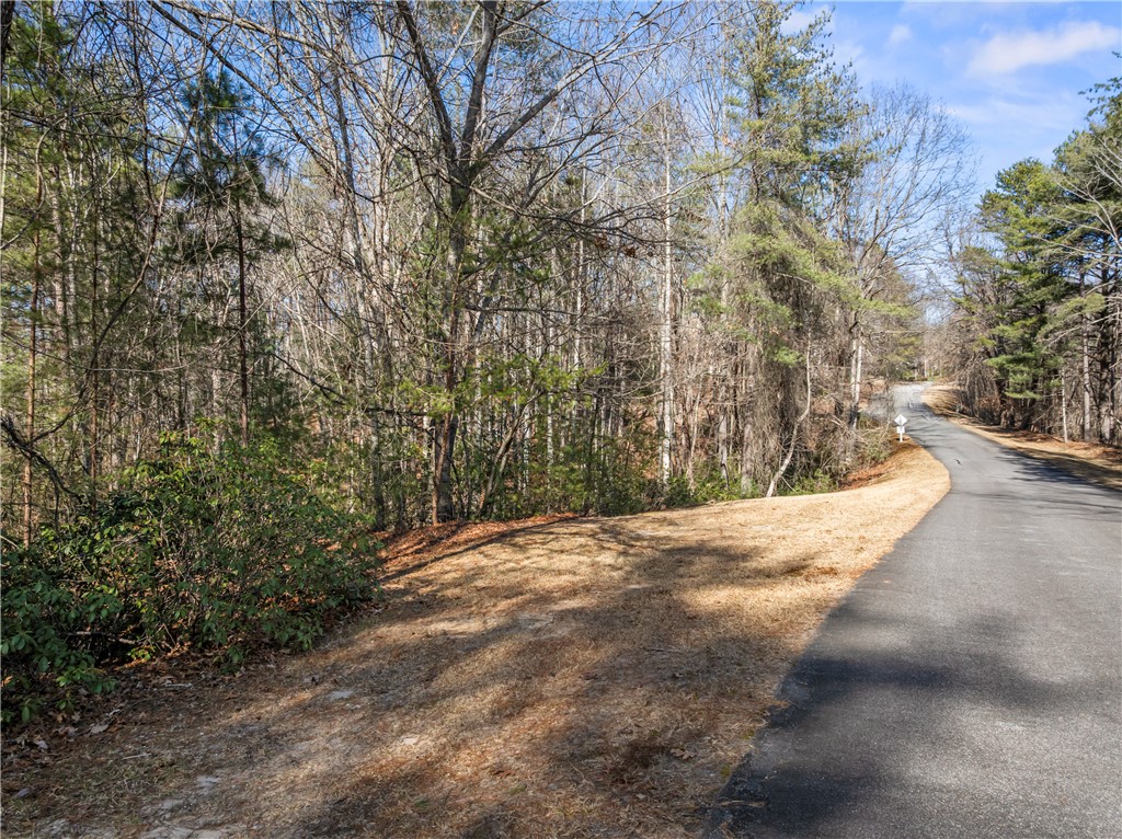 318 Ginseng Drive Sunset, SC 29685 - Photo 14 of 19