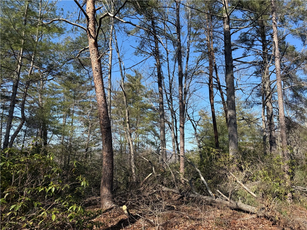 318 Ginseng Drive Sunset, SC 29685 - Photo 14 of 23 This tranquil wooded lot offers a serene setting for your future home.