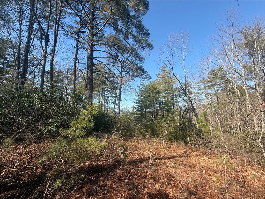 318 Ginseng Drive Sunset, SC 29685 - Photo 16 of 23 This tranquil wooded lot offers a private setting, ideal for building a custom home amidst natural beauty.