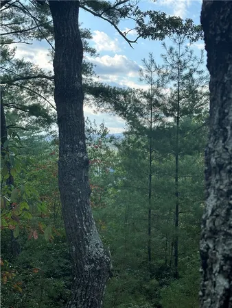 $85,000 | 318 Ginseng Drive, Sunset, SC 29685