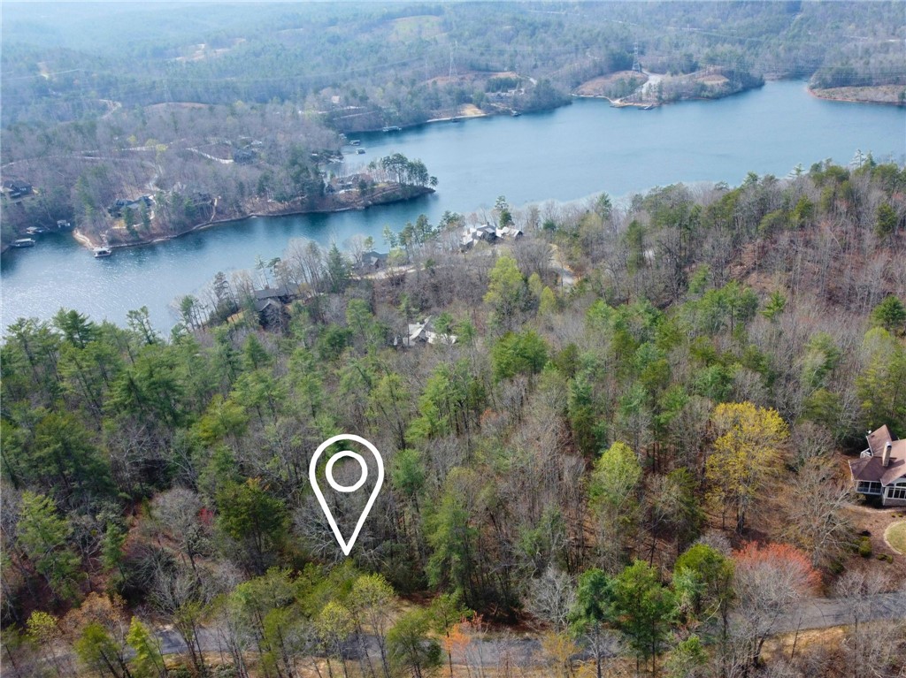 318 Ginseng Drive Sunset, SC 29685 - Photo 2 of 23 This aerial view showcases a picturesque lake and a lush, forested landscape.