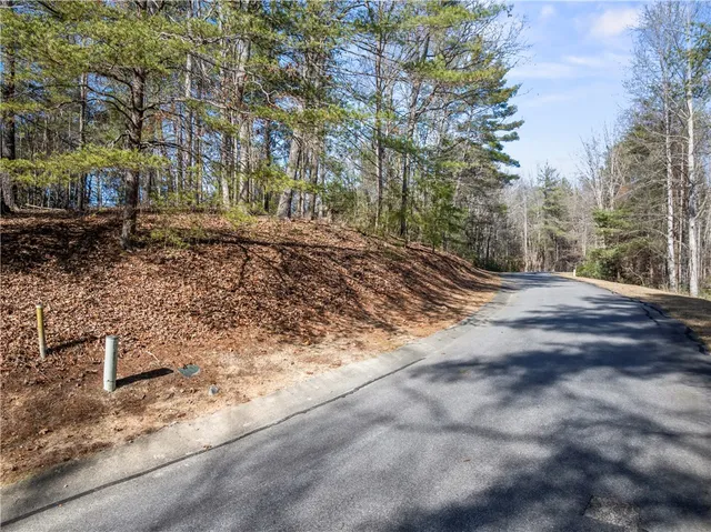 $85,000 | 318 Ginseng Drive, Sunset, SC 29685