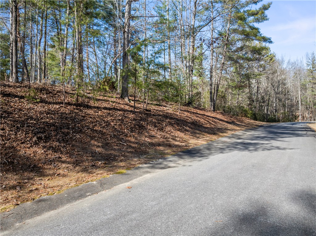 318 Ginseng Drive Sunset, SC 29685 - Photo 21 of 23
