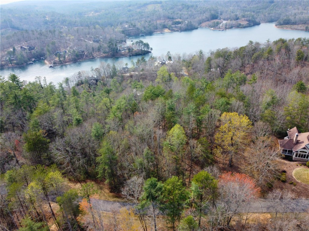 318 Ginseng Drive Sunset, SC 29685 - Photo 23 of 23 This elevated view captures a serene lakeside landscape with lush trees and a winding road.