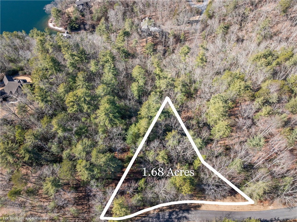 318 Ginseng Drive Sunset, SC 29685 - Photo 3 of 23 Note: Photographs showing approximate lot line locations are NOT intended to be representative of a survey. Property lines depicted on aerial photographs may not be representative of actual property lines.