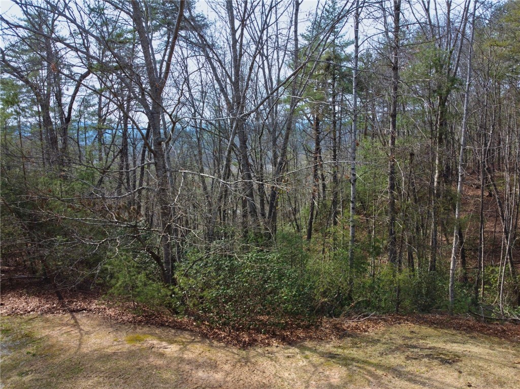 318 Ginseng Drive Sunset, SC 29685 - Photo 4 of 23 This serene wooded lot offers privacy and natural beauty, perfect for building your dream home.