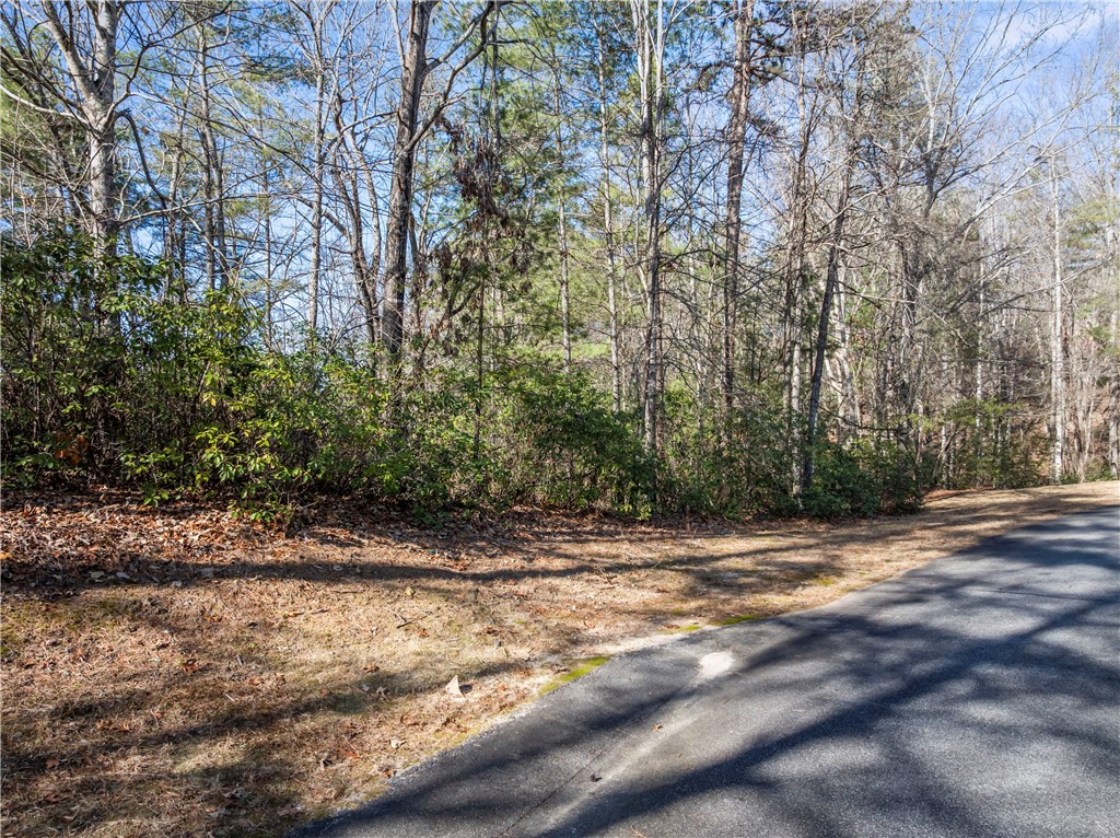 318 Ginseng Drive Sunset, SC 29685 - Photo 4 of 10