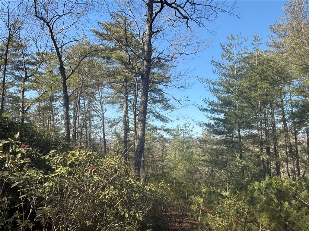 318 Ginseng Drive Sunset, SC 29685 - Photo 5 of 19