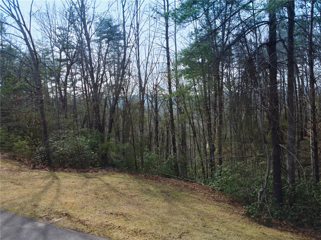 318 Ginseng Drive Sunset, SC 29685 - Photo 5 of 23