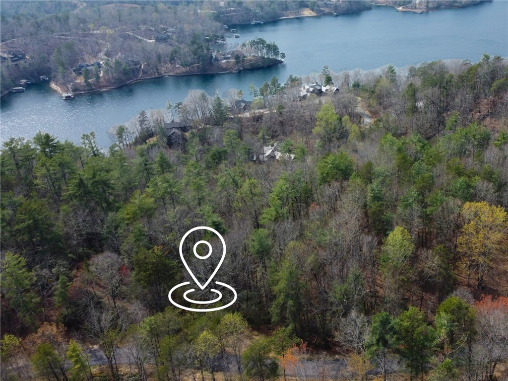 318 Ginseng Drive Sunset, SC 29685 - Photo 6 of 23 This aerial view showcases a picturesque woodland setting beside a tranquil lake.