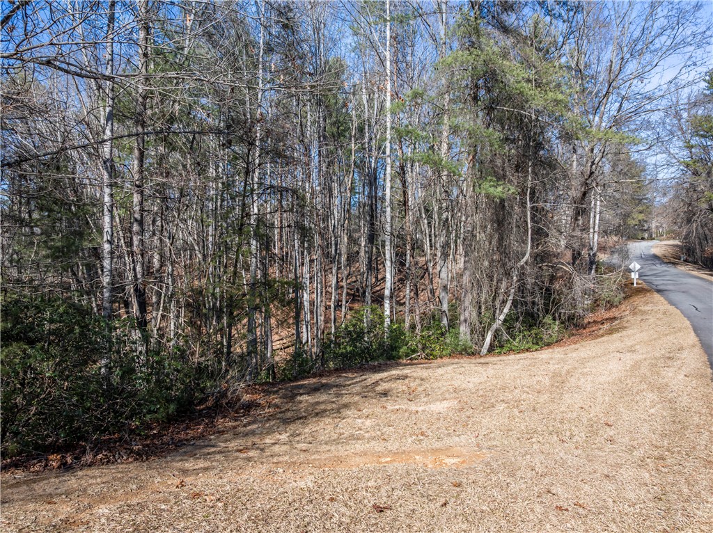 318 Ginseng Drive Sunset, SC 29685 - Photo 6 of 10