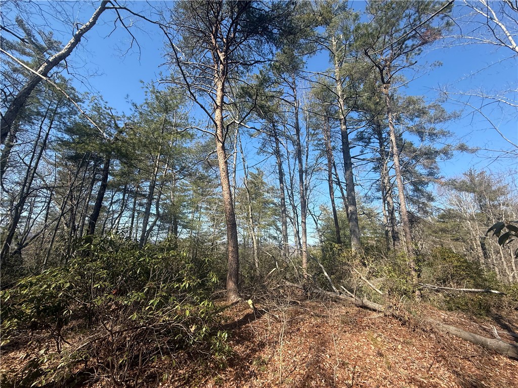 318 Ginseng Drive Sunset, SC 29685 - Photo 7 of 19