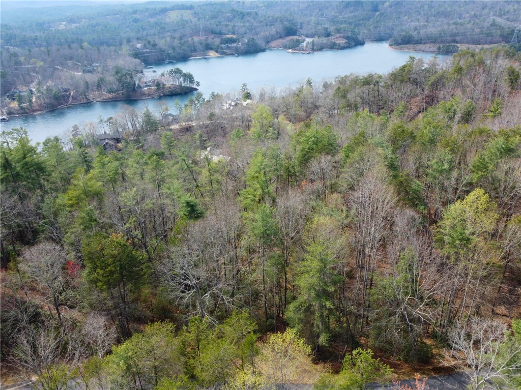 318 Ginseng Drive Sunset, SC 29685 - Photo 7 of 23 Perched above the lake, this property offers serene views and a tranquil, natural setting.