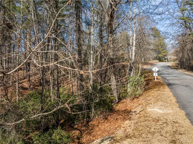 $85,000 | 318 Ginseng Drive, Sunset, SC 29685