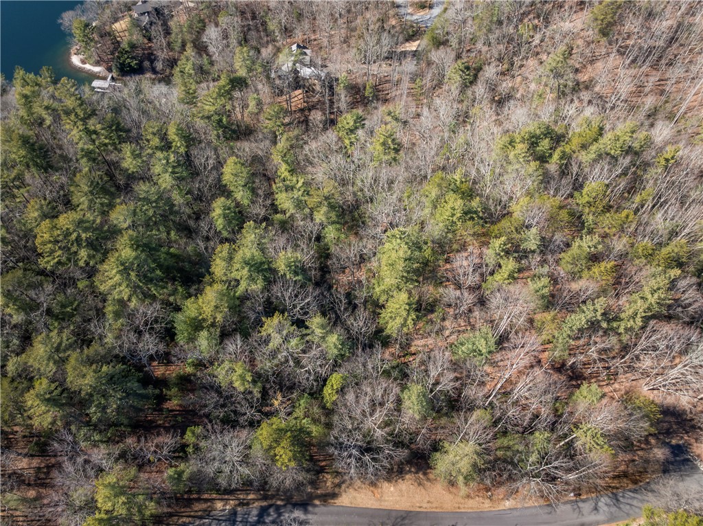 318 Ginseng Drive Sunset, SC 29685 - Photo 8 of 10