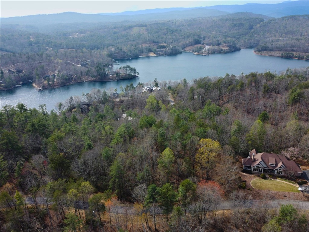 318 Ginseng Drive Sunset, SC 29685 - Photo 8 of 23 This elevated view captures a sprawling home nestled amidst a vibrant forest overlooking a serene lake.