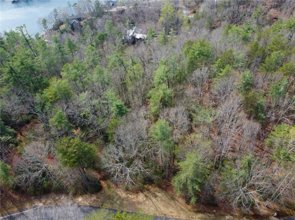 318 Ginseng Drive Sunset, SC 29685 - Photo 9 of 23 This lot offers an ideal setting for a private residence surrounded by natural beauty and water access.