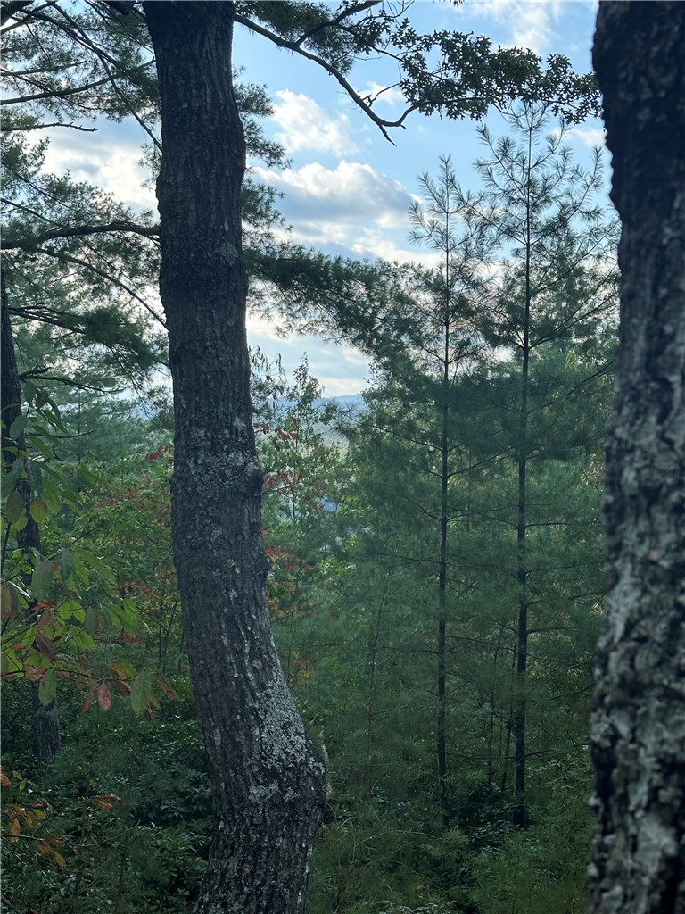 318 Ginseng Drive Sunset, SC 29685 - Photo 9 of 19