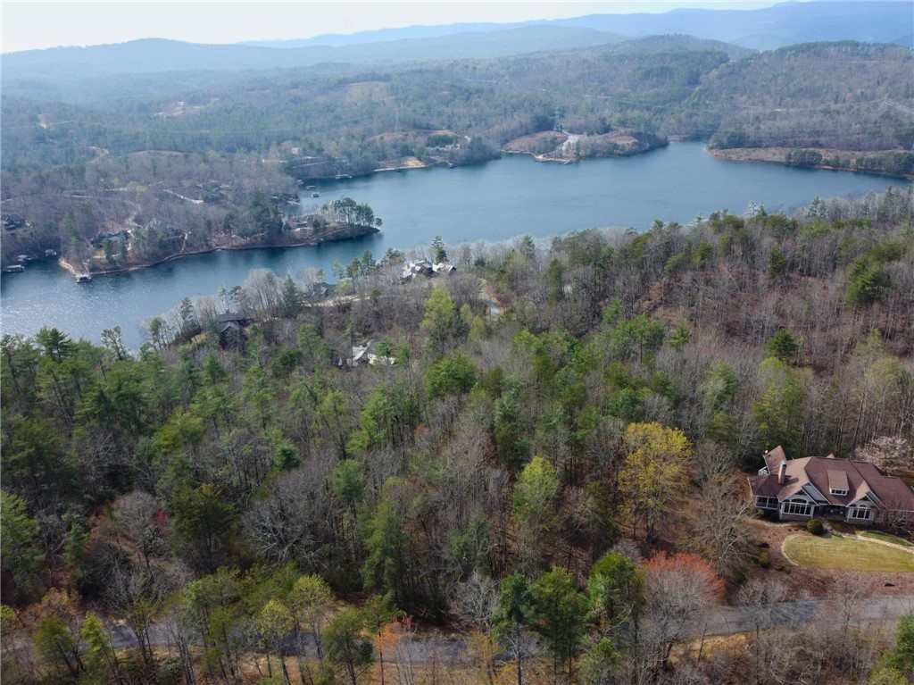 318 Ginseng Drive Sunset, SC 29685 - Photo 10 of 23 This scenic aerial view captures a tranquil lakeside community nestled amidst lush, verdant hills.