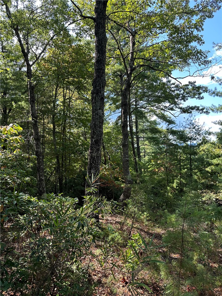 318 Ginseng Drive Sunset, SC 29685 - Photo 10 of 19