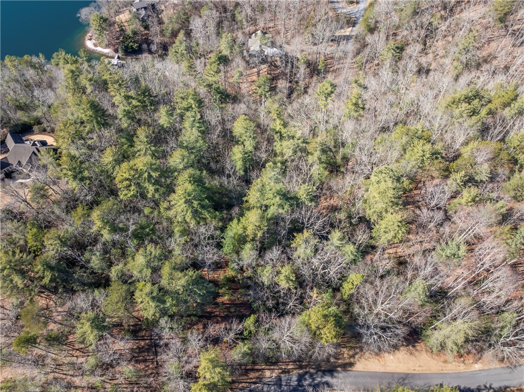 318 Ginseng Drive Sunset, SC 29685 - Photo 10 of 10