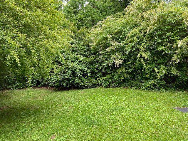 4231 Blanton Avenue Southwest Atlanta, GA 30331 - Photo 10 of 10 a view of a green yard