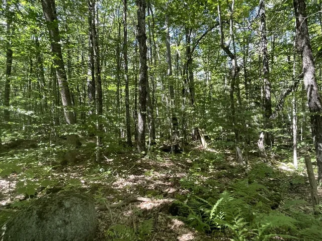 $54,900 | 0 Scenic Drive, Stoddard, NH 03464