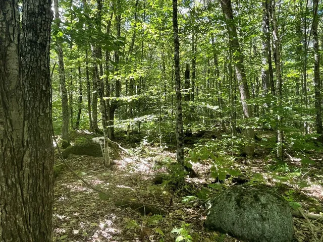 $54,900 | 0 Scenic Drive, Stoddard, NH 03464
