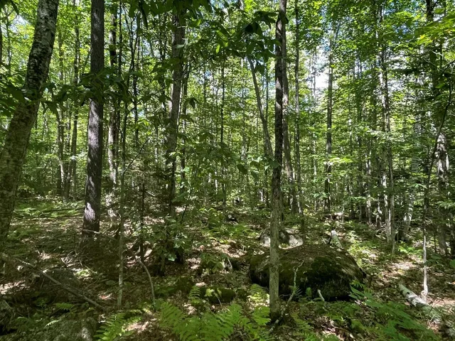 $54,900 | 0 Scenic Drive, Stoddard, NH 03464