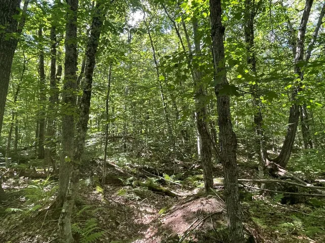 $54,900 | 0 Scenic Drive, Stoddard, NH 03464