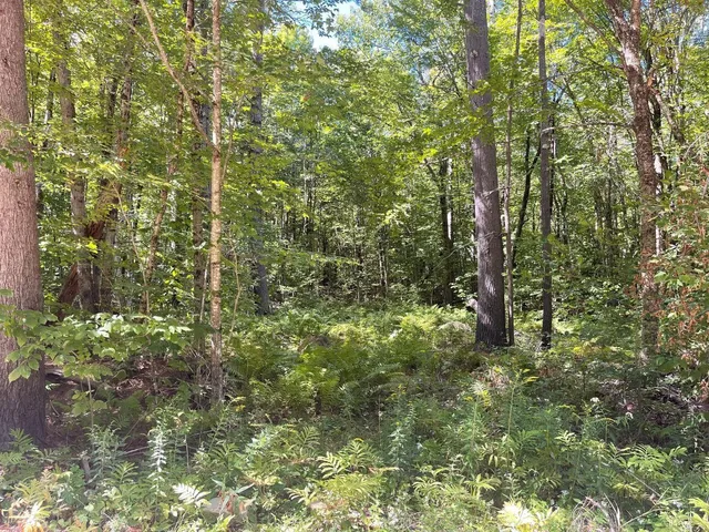 $54,900 | 0 Scenic Drive, Stoddard, NH 03464