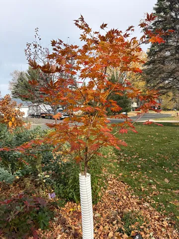 $369,900 | 2200 Gardenette Drive South, White Bear Lake, MN 55110