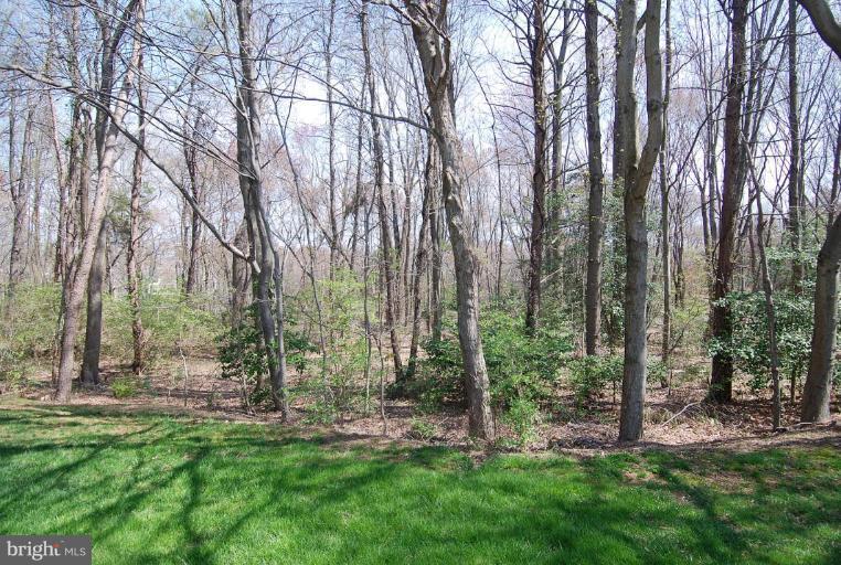 2823 Rifle Ridge Road Oakton, VA 22124 - Photo 2 of 30 Back yard