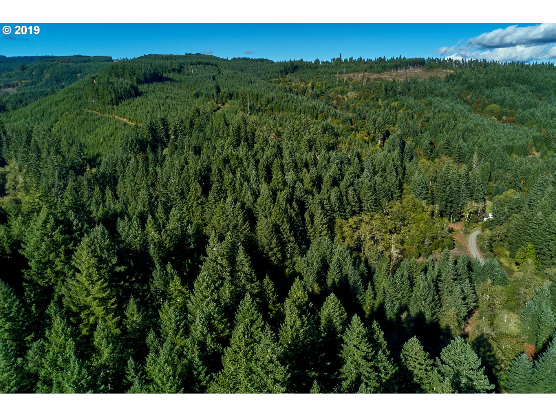 0 Gilbert Creek Road Willamina, OR 97396 - Photo 11 of 26 Gallery Image 11