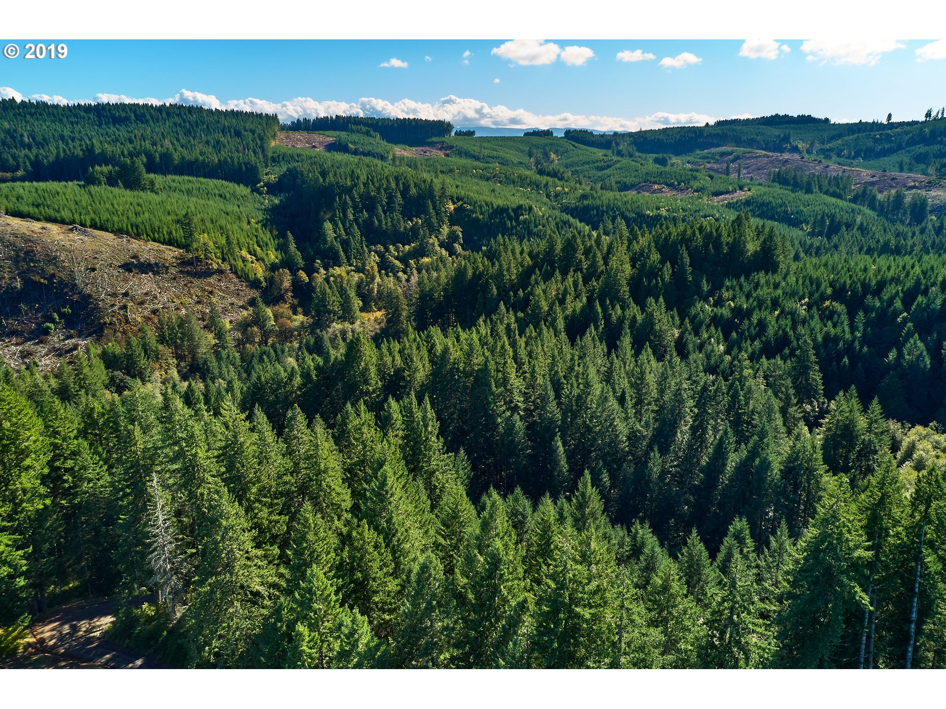 0 Gilbert Creek Road Willamina, OR 97396 - Photo 13 of 26 Gallery Image 13