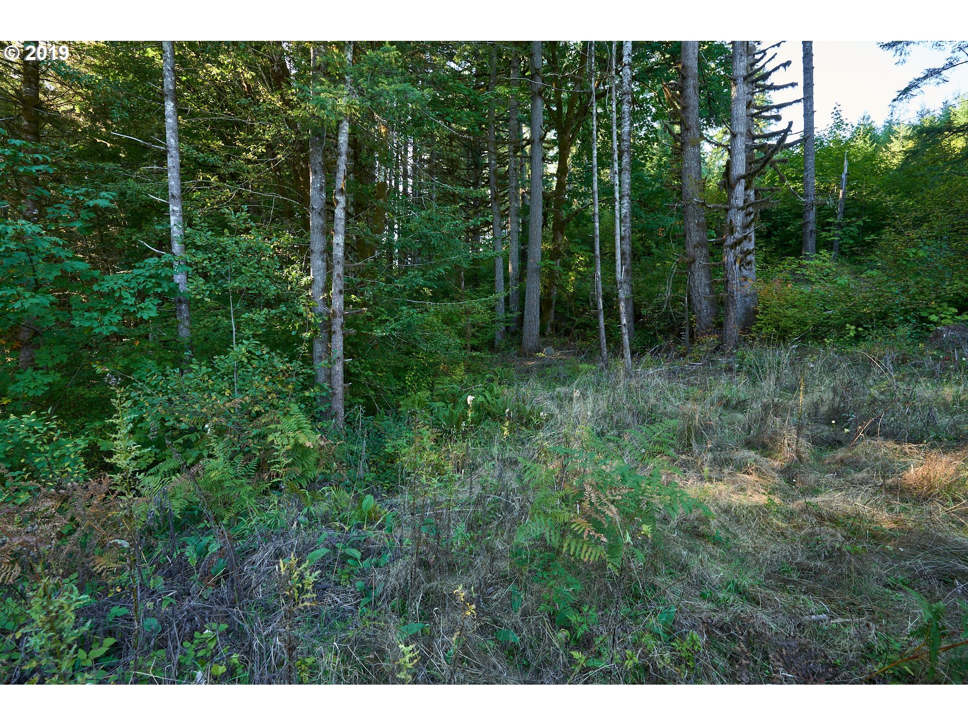0 Gilbert Creek Road Willamina, OR 97396 - Photo 16 of 26 Gallery Image 16