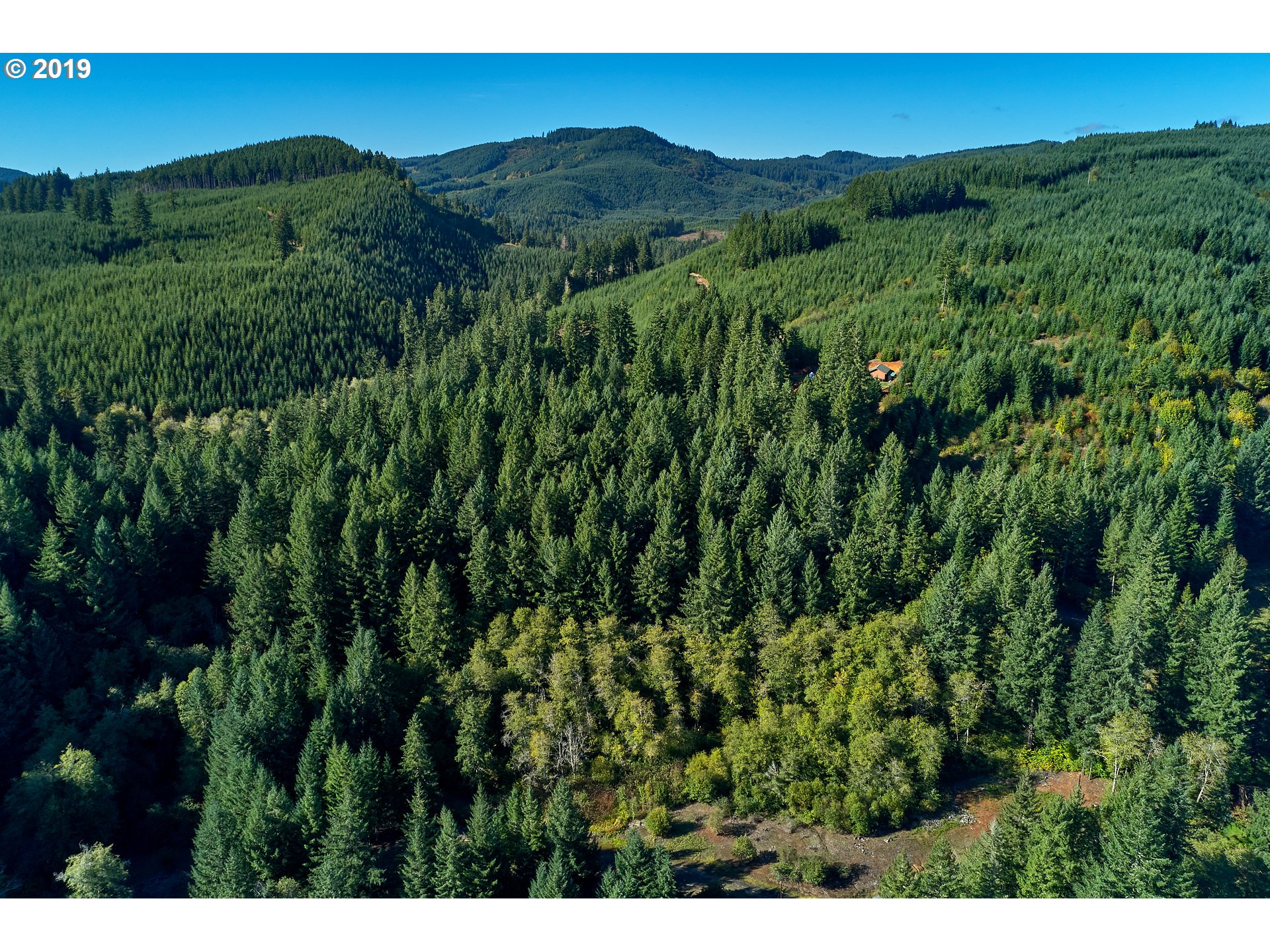0 Gilbert Creek Road Willamina, OR 97396 - Photo 4 of 26 Gallery Image 4