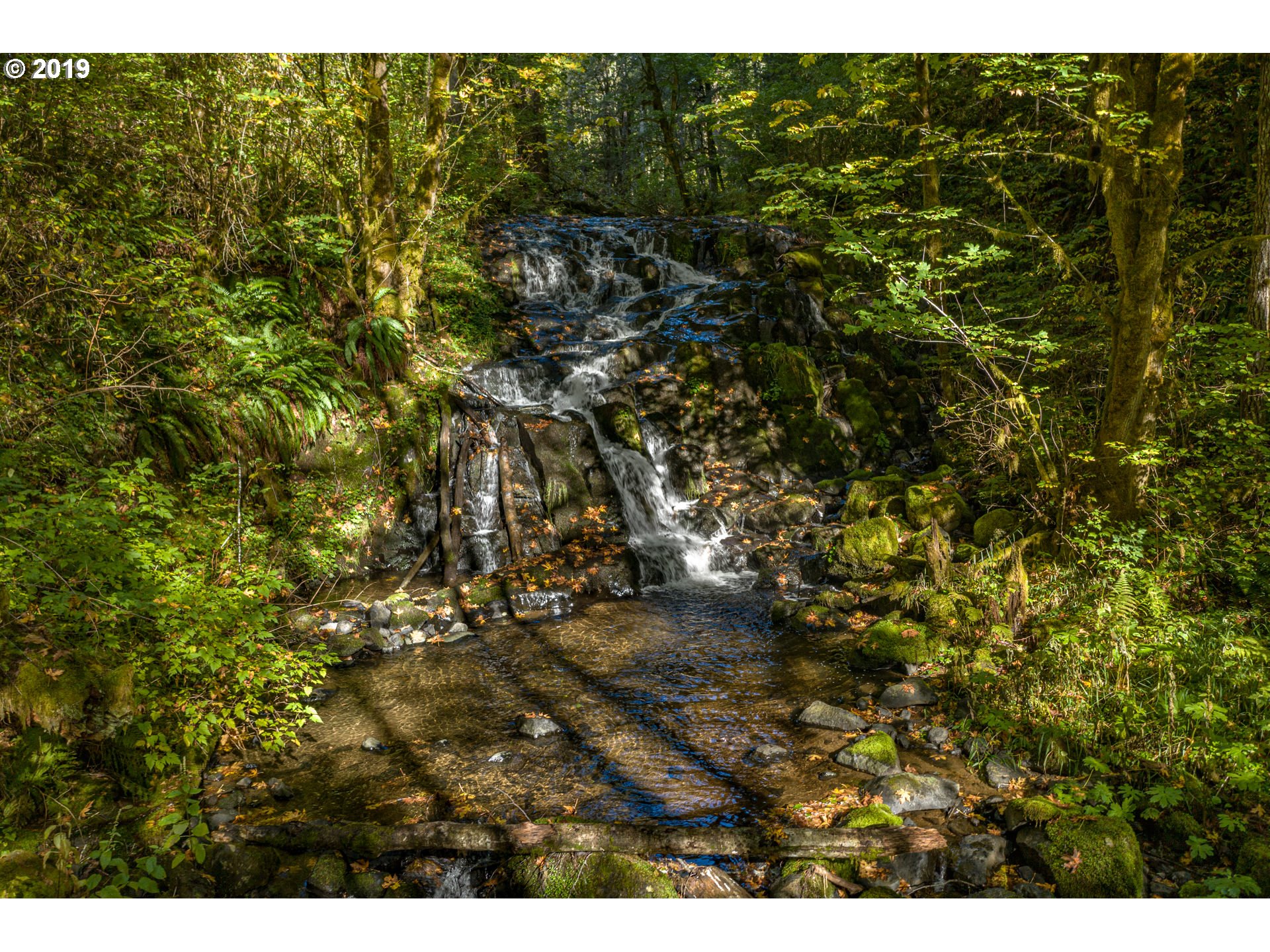 0 Gilbert Creek Road Willamina, OR 97396 - Photo 8 of 26 Gallery Image 8