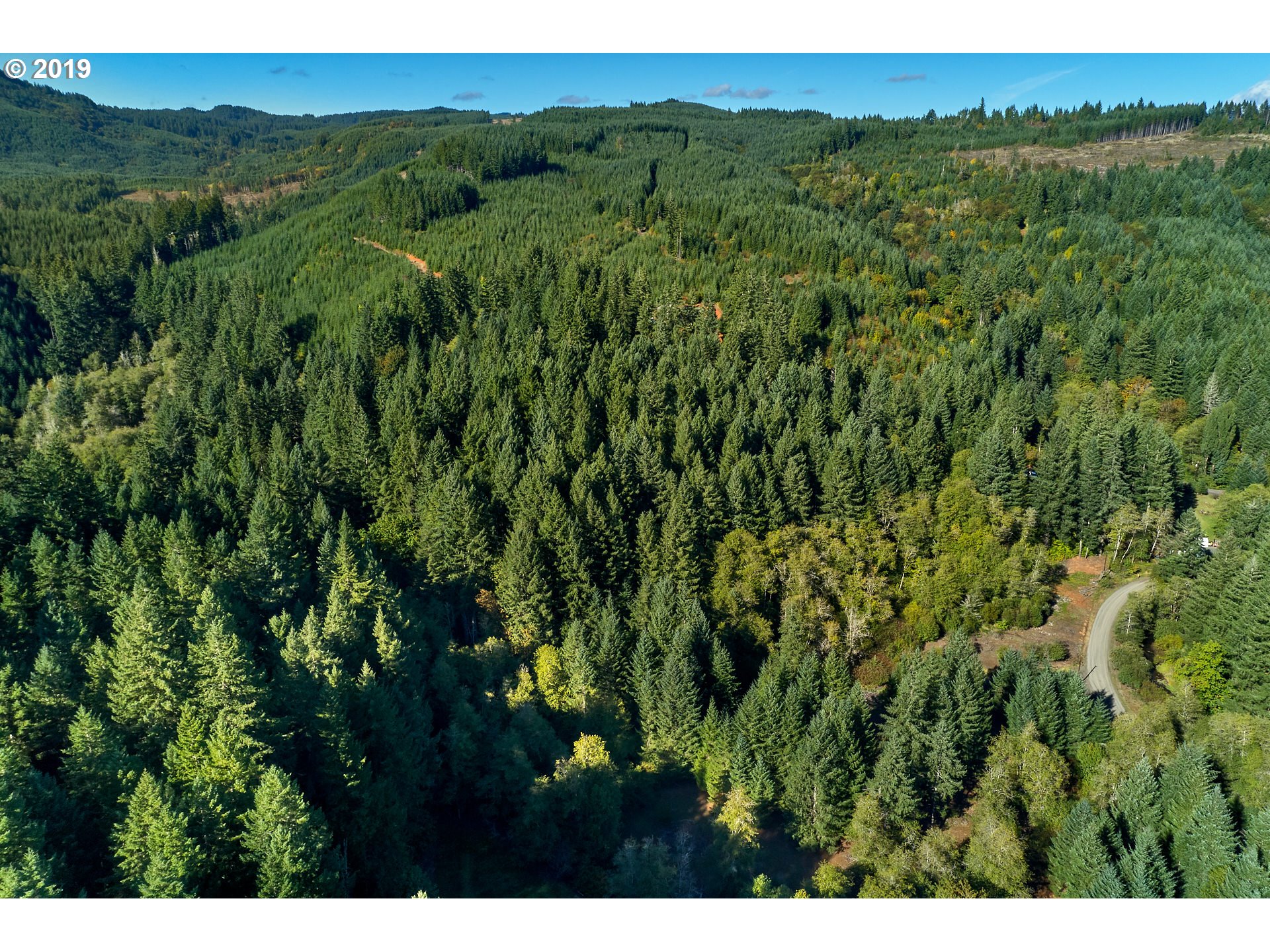 0 Gilbert Creek Road Willamina, OR 97396 - Photo 9 of 26 Gallery Image 9