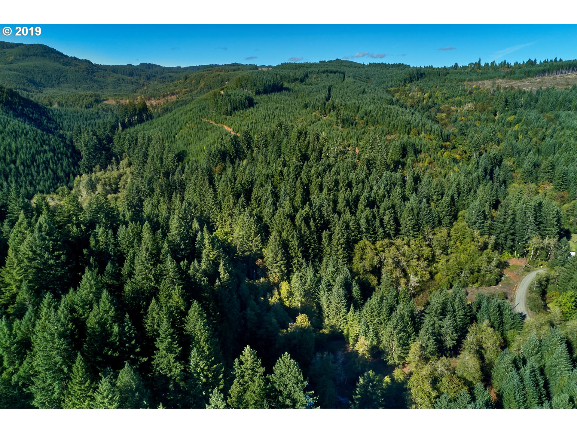 0 Gilbert Creek Road Willamina, OR 97396 - Photo 10 of 26 Gallery Image 10