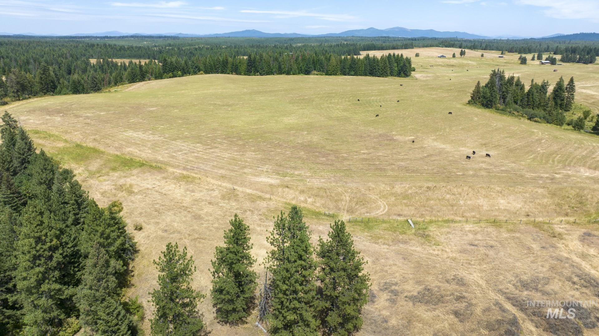 1605 Jasmine Lane Weippe, ID 83553 - Photo 3 of 11
