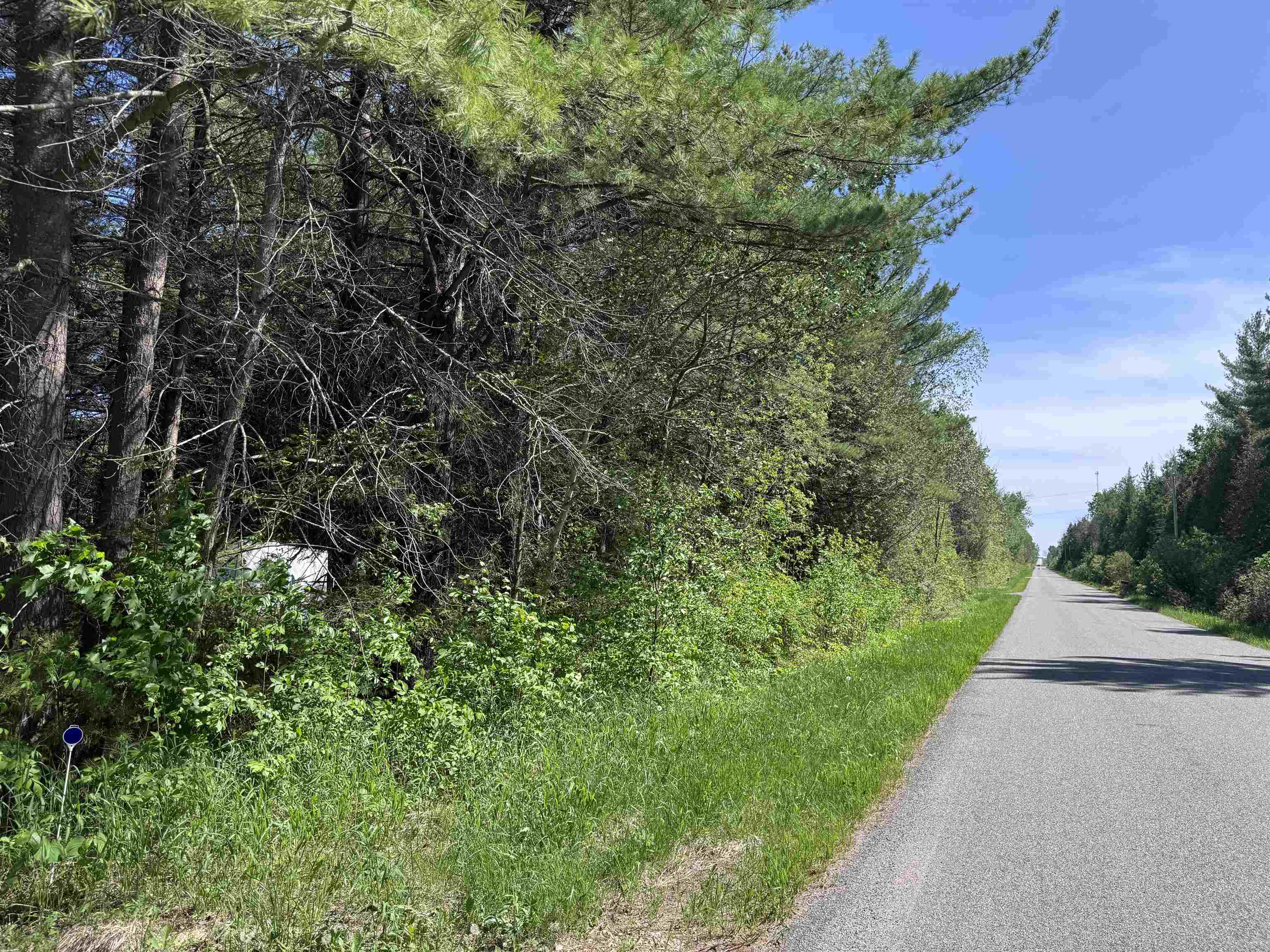 Peterson Road Wausaukee, WI 54177 - Photo 16 of 41