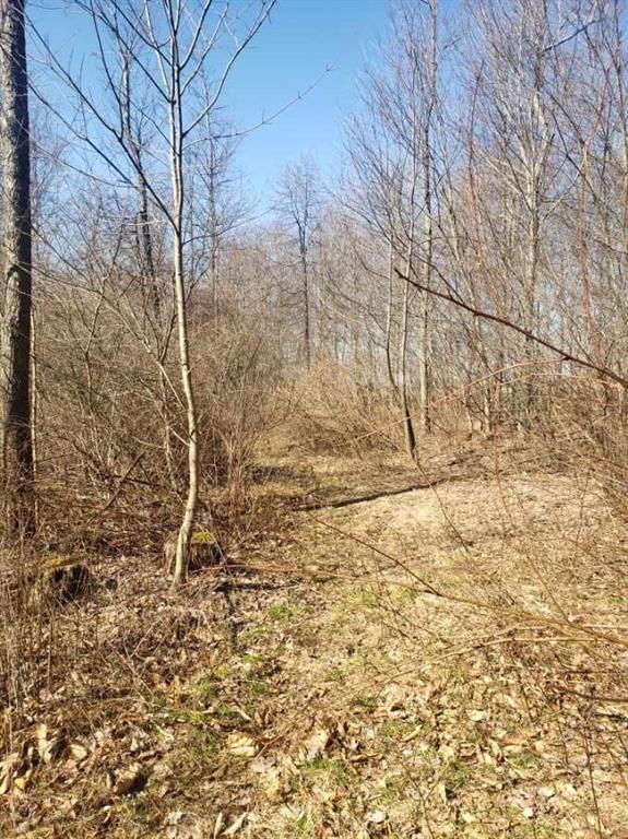 0 Pilgram Road Hadley, PA 16130 - Photo 1 of 5