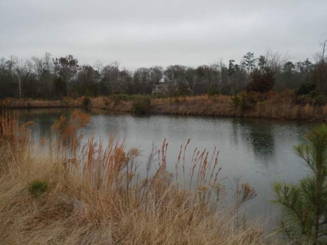 Lot 36 Marsh Tacky Loop Myrtle Beach, SC 29588 - Photo 7 of 7 Gallery Image 7