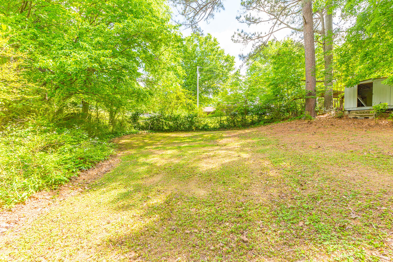 1091 Dawnville Road Dalton, GA 30721 - Photo 4 of 28 1091 Dawnville HD -8