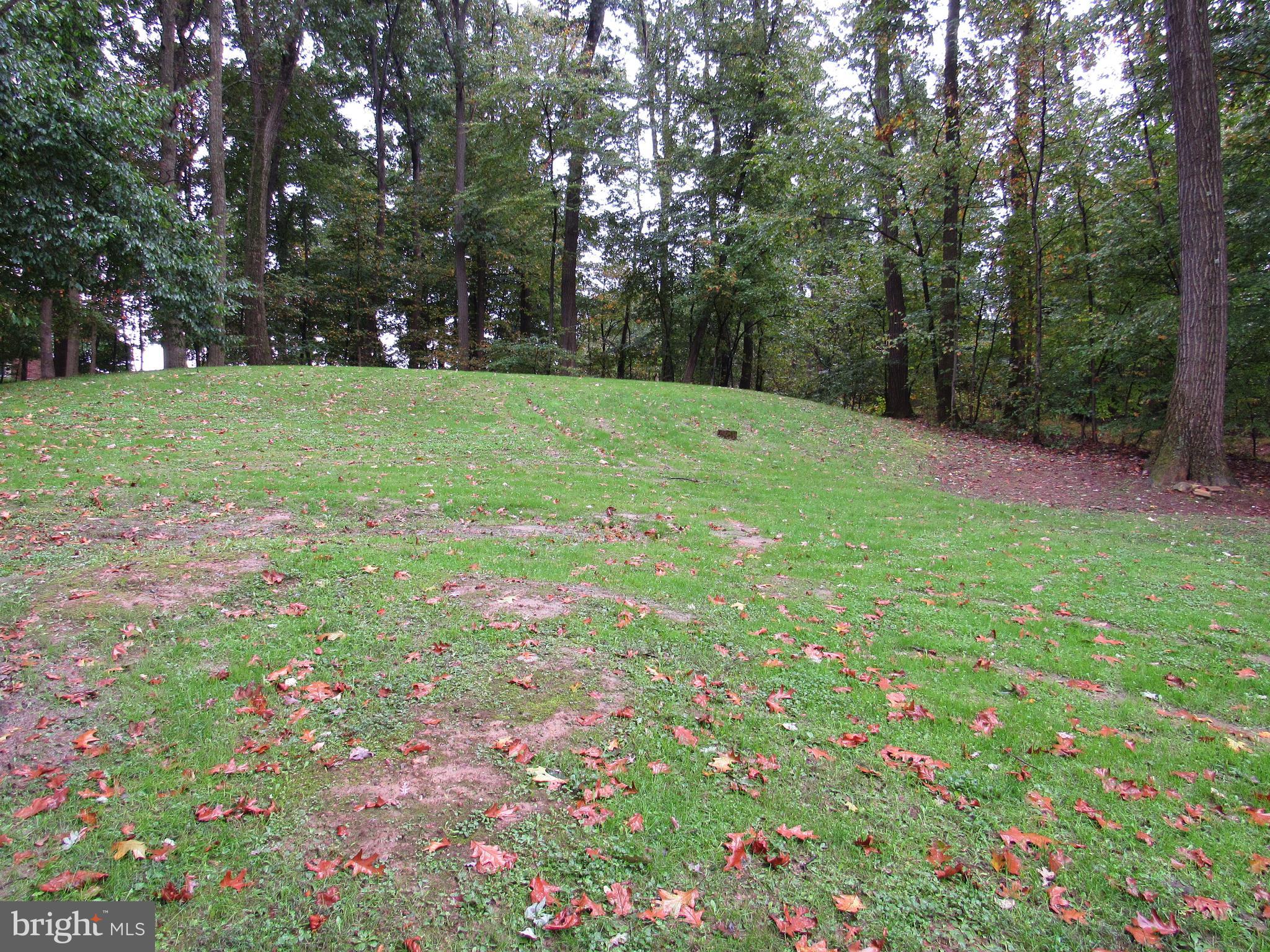 112 Deck Road Womelsdorf, PA 19567 - Photo 6 of 19 yard