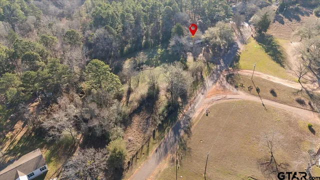 a view of yard with trees